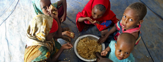 Проблема голода в странах. Голодающие африканские дети.
