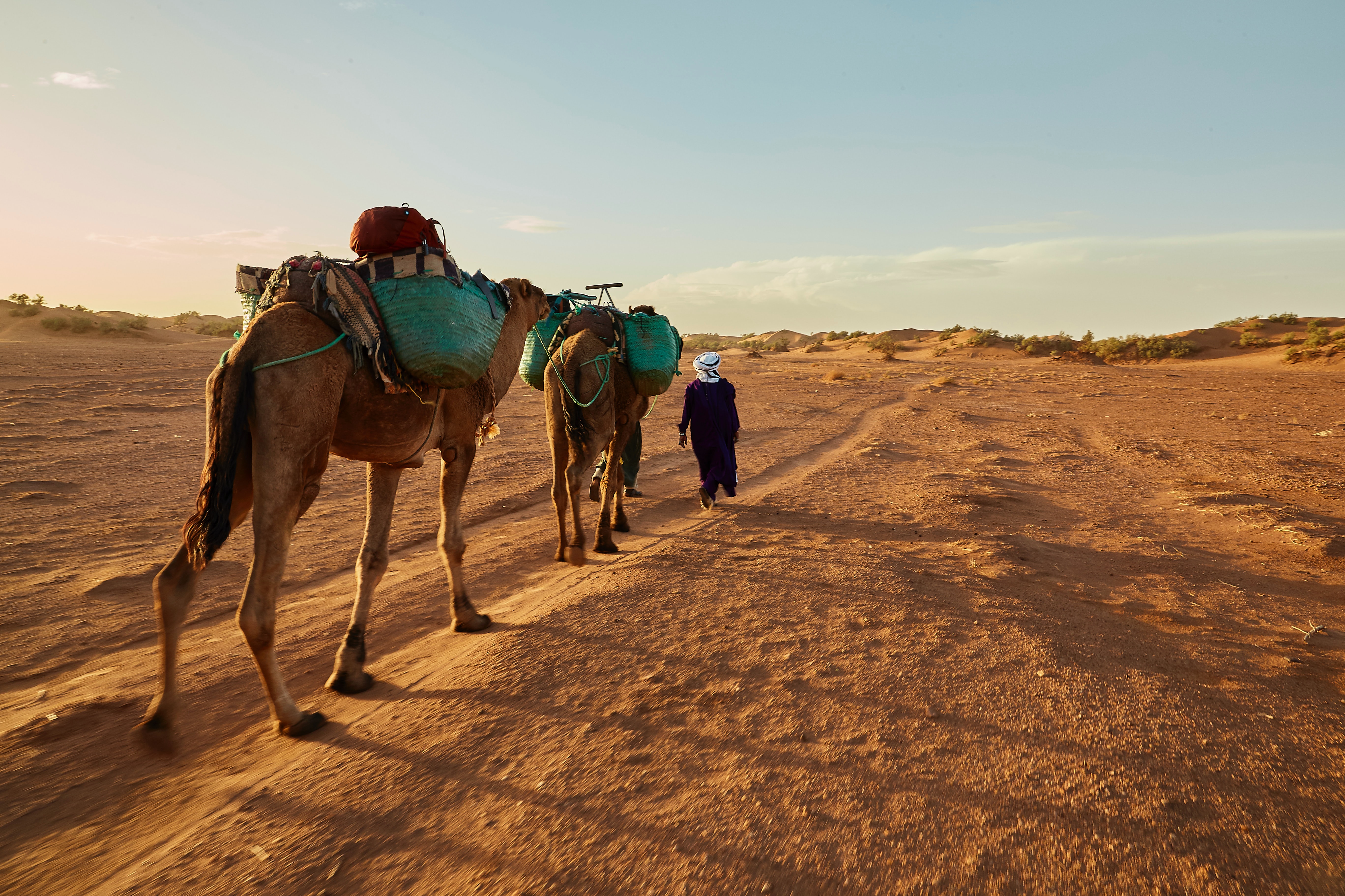 Люди каравана. Марокко Верблюды. Верблюд в пустыне Марокко. Верблюды Караван. Человек с верблюдом в пустыне.